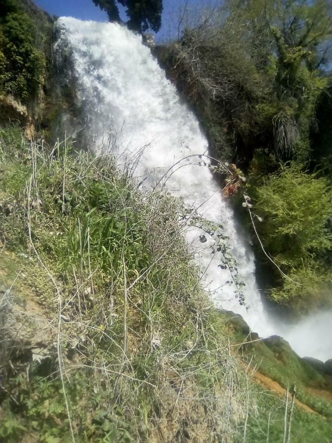 Alexandros Daire Aridaía Dış mekan fotoğraf