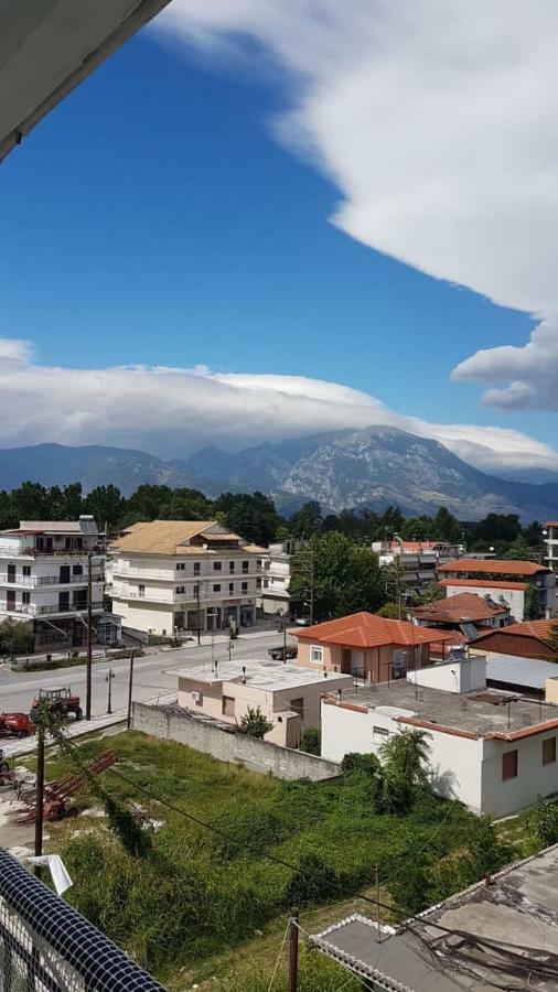 Alexandros Daire Aridaía Dış mekan fotoğraf
